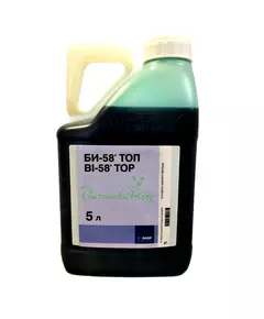 Би 58 ТОП