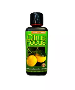 GT CITRUS FOCUS для цитрусовых