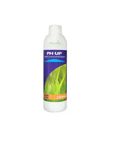ORANGE TREE PH UP