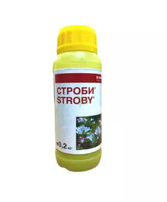 Строби BASF