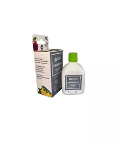 ЩА Гиббера ВР