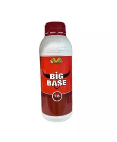 AVAGRO BIG BASE 1 л