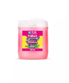 T.A. GHE TRIPART BLOOM