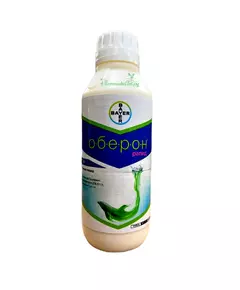 Оберон рапид