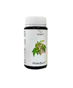 GROBRO METABOOST Активатор метаболизма