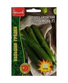 Огурец Китайский Шэньчжэнь F1 20 шт РЕДКИЕ СЕМЕНА