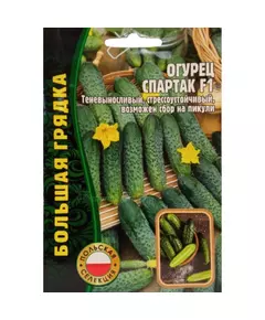 Огурец Спартак F1 (Польша) 50 шт РЕДКИЕ СЕМЕНА
