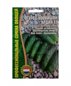 Огурец Ардия F1  корнишон 7 шт РЕДКИЕ СЕМЕНА
