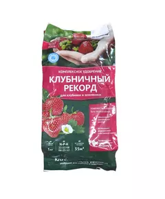 БиоМастер Удобрение комплексное Клубничный рекорд 1 кг