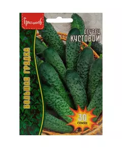 Огурец Кустовой 30 шт РЕДКИЕ СЕМЕНА