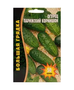 Огурец Парижский корнишон 50 шт РЕДКИЕ СЕМЕНА