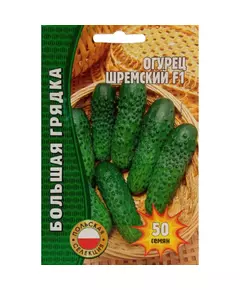 Огурец Шремский F1 (польская селекция) 50 шт РЕДКИЕ СЕМЕНА