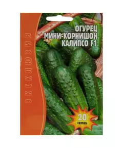 Огурец Калипсо мини корнишон  F1 20 шт РЕДКИЕ СЕМЕНА