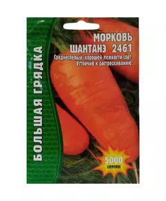 Морковь Шантане 2461 5000 шт РЕДКИЕ СЕМЕНА