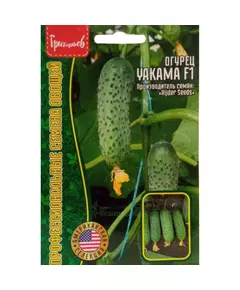 Огурец Якама F1 10 шт США РЕДКИЕ СЕМЕНА3