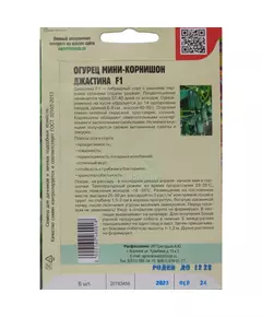Огурец Джастина F1 мини корнишон 6 шт РЕДКИЕ СЕМЕНА