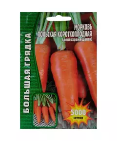 Морковь Польская Короткоплодная долгохранящаяся 5000 шт РЕДКИЕ СЕМЕНА