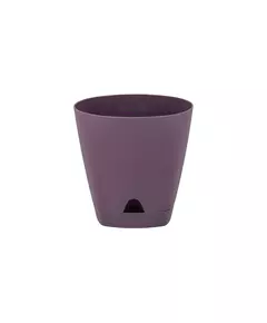 Горшок Амстердам с подст. Морозная слива