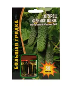 Огурец Феникс Плюс 50 шт РЕДКИЕ СЕМЕНА