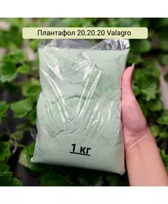 Плантафол 20.20.20 VALAGRO