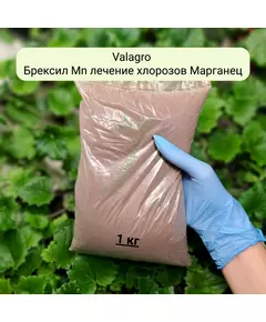 VALAGRO Брексил MN лечение хлорозов Марганец