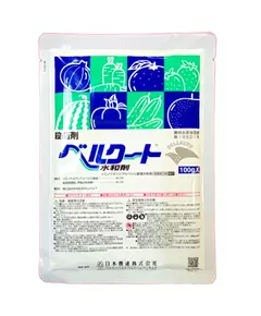 Беркут Япония