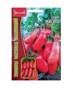 Томат Жигало 10 шт РЕДКИЕ СЕМЕНА