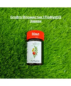 GROBRO Фломистик / FLOMYSTIQ Завязи