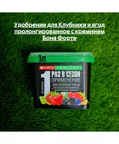 Удобрение для Клубники и ягод пролонгированное с кремнием 1 л Бона Форте