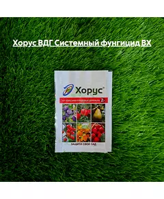 Хорус ВДГ Системный фунгицид ВХ