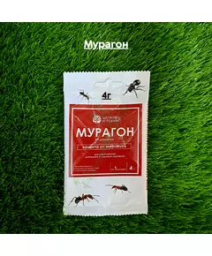 Мурагон