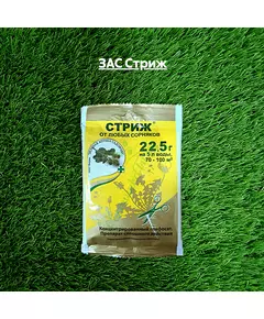 ЗАС Стриж