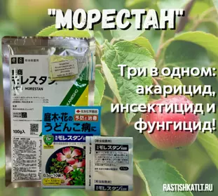 Морестан: Три богатыря в одном флаконе!