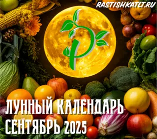 Лунный календарь