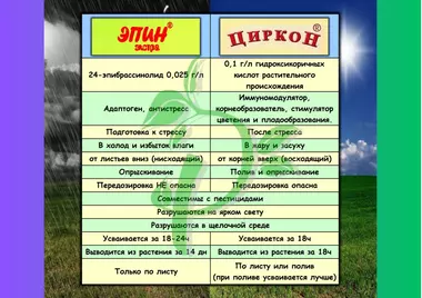 Эпин и Циркон