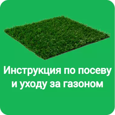 Инструкция по посеву и уходу за газоном