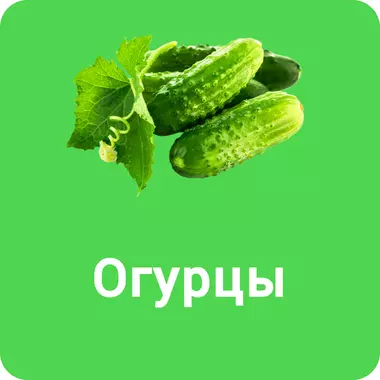 Огурцы