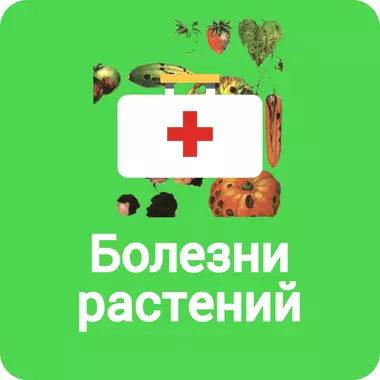 Болезни растений