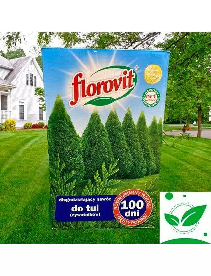FLOROVIT Флоровит Для туй длительного действия. 100 дней 1 кг
