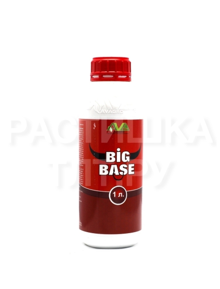 AVAGRO BIG BASE 1 л