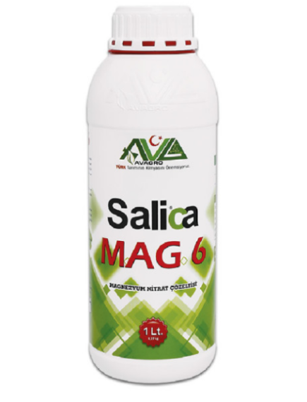 AVAGRO SALICA Салика MAG6 1 л