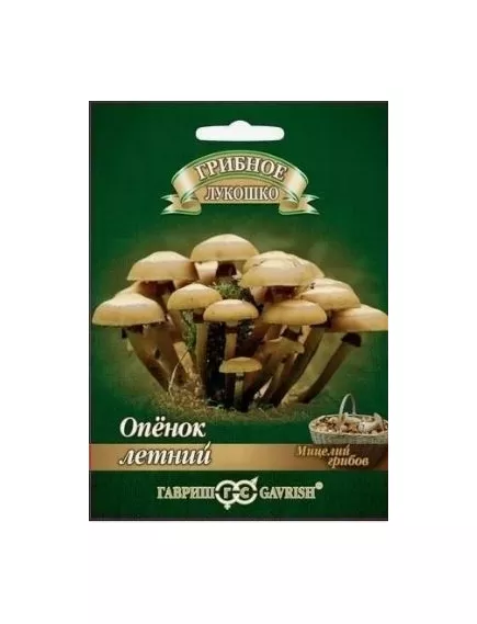 Опенок Летний на древесной палочке 12 шт
