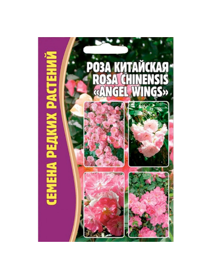 Роза китайская (ROSA CHINENSIS) ANGEL WINGS  10 шт РЕДКИЕ СЕМЕНА