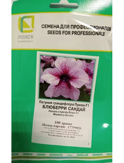 Петуния грандифлора Призм Блюберри  Сандай 100 шт ПОИСК