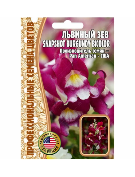 Львиный  Зев SNAPSHOT BURGUNDY BICOLOR F1 5 шт РЕДКИЕ СЕМЕНА