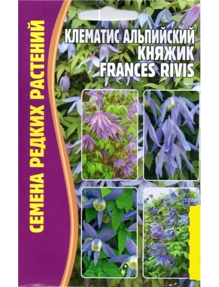 Клематис альпийский Княжик  FRANCES RIVIS  3 шт РЕДКИЕ СЕМЕНА