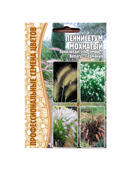 Пеннисетум Мохнатый (PENNISETUM VILLOSUM) 10 шт РЕДКИЕ СЕМЕНА