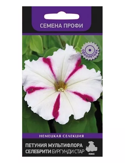 Петуния мультифлора Селебрити Бургунди стар 30 шт ПОИСК