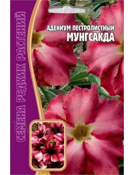 Адениум пестролистный Мунгсакда 3 шт РЕДКИЕ СЕМЕНА