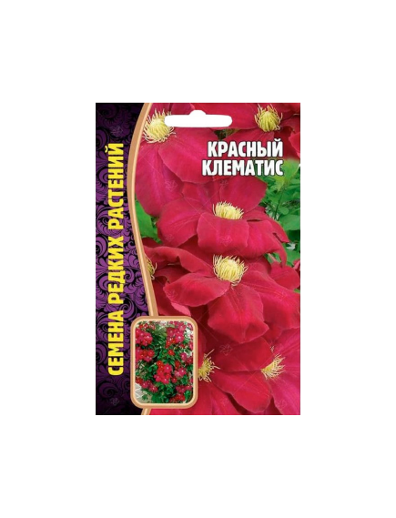 Клематис Красный 3 шт РЕДКИЕ СЕМЕНА